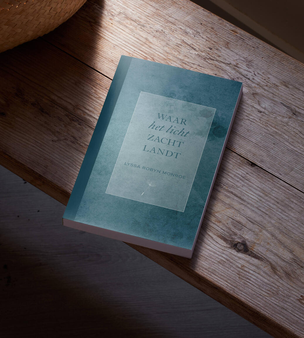 cover van 'Waar het licht zacht landt'